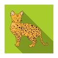 Savannah icon in flat style isolated on white background. Cat breeds symbol stock vector illustration.