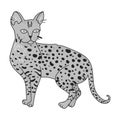 Savannah icon in monochrome style isolated on white background. Cat breeds symbol stock vector illustration.