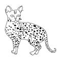 Savannah icon in outline style isolated on white background. Cat breeds symbol stock vector illustration.