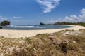 savannah monitor lizard roam at the tropical beach