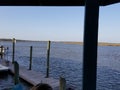 Savannah river