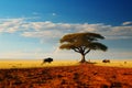 Savannahs wildebeest near a solitary tree, an iconic wildlife moment