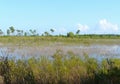 Savannas Preserve State Park Florida Marsh