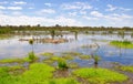 Save the Beelier Wetlands, Western Australia Royalty Free Stock Photo