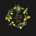 Save the Date. Lemons and Flowers Card. Fruit Background Royalty Free Stock Photo