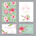 Save the Date - Wedding Invitation or Congratulation Card Set Royalty Free Stock Photo