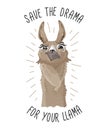 Save the drama for your llama print with funny alpaca head on dark backround. Llama motivational print. Vector alpaca meme