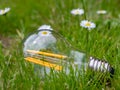 Save electricity in the future Light bulb in the grass