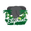 Save Elephant Conservative Concept