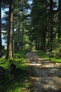 Save Environment sign board in Van Vihar National Park in Manali, Himachal Pradesh, India