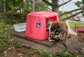 Save a Gato looks after abandoned cats in San Juan