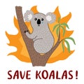 Save koala from forest fire