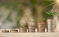 Save Money concept for Financial, Investment and Business with money coin stack for growing with sunlight bokeh background Royalty Free Stock Photo