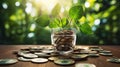 save money for investment concept plant growing out of coins with filter effect retro vintage style Royalty Free Stock Photo