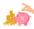 Save money investments. Hand putting coins into piggy bank. Saving dollar earnings, having income or profit Royalty Free Stock Photo