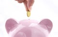 Save money with piggy bank Royalty Free Stock Photo