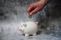 Save money. Piggy bank pig on a white background. Coins on a white background. Invest savings. Currency market. Save cash savings