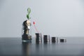 Save money, success goals and investment growth concept. Tree growing on stack coins with arrows rising on blur office background Royalty Free Stock Photo