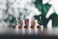 Save money, success goals and investment growth concept. Tree growing on stack coins with arrows rising on green nature background Royalty Free Stock Photo