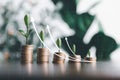 Save money, success goals and investment growth concept. Tree growing on stack coins with arrows rising on green nature background Royalty Free Stock Photo