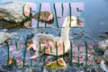 Save nature sign. Bird stuck in polluted water with tar. Dying animals in industrial wastes. Dirty rivers and oceans with oil.