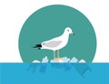 Save ocean, Stop Plastic Pollution, seagull stand on plastic bottle