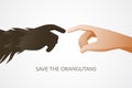 Save the orangutans