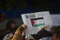 Save palestine and al aqsa