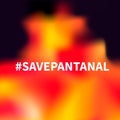 Save Pantanal lettering on fire background. Vector template for banner, typography poster, flyer, sign, etc