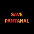 Save Pantanal lettering. Fires in Brazil concept. Vector template for banner, typography poster, flyer, sign, etc