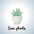 Save plants card with cactus on grey
