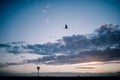 Save screens. Bird silhouette flying in the sky. Lamppost in the foreground. Sunset background Royalty Free Stock Photo