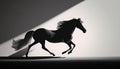 Save to Library Download Preview Preview Crop Find Similar File #: 636023307 Fast galloping black and white horse casting shadow
