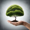 save the trees : save the planet isolated background