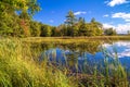 Save The Wetlands Royalty Free Stock Photo