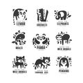 Save wild animal logo design set, protection of african animals black and white sign vector Illustrations on a white