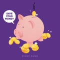 Save your money on cute piggy bank and get rich