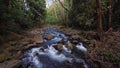 Savegre River, San Gerardo de Dota. Quetzales National Park, Costa Rica.