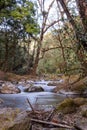 Savegre River, San Gerardo de Dota. Quetzales National Park, Costa Rica. Royalty Free Stock Photo