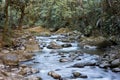 Savegre River, San Gerardo de Dota. Quetzales National Park, Costa Rica. Royalty Free Stock Photo