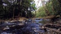 Savegre River, San Gerardo de Dota. Quetzales National Park, Costa Rica