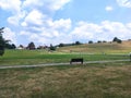 Gornji Milanovac Savinac picnic site enjoy Central Serbia