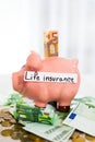 Saving concept. Piggy bank with an inscription life insurance