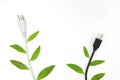 Saving electricity and green alternative energy concept. Electric plug cord with green leaves. Royalty Free Stock Photo