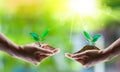Saving energy concept with earth and tree planting on volunteers Royalty Free Stock Photo
