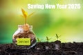 Saving and growth energy and environment. Tree growth compared to year 2026 in jar Royalty Free Stock Photo