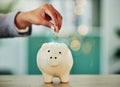 . Saving and investment for future, hand putting a coin into a piggy bank, money growth and financial freedom Royalty Free Stock Photo