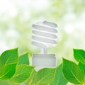 Saving lamp Royalty Free Stock Photo