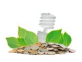 Saving lamp Royalty Free Stock Photo