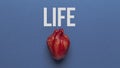 Saving life is heart transplant. Organ on blue background, concept